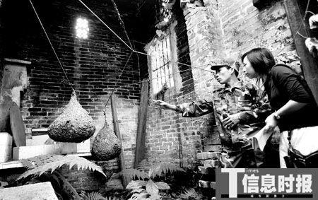 男子祖屋内养万只毒蜂每年上山寻马蜂窝(图)女人跟老虎做图片
