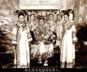 小白杨