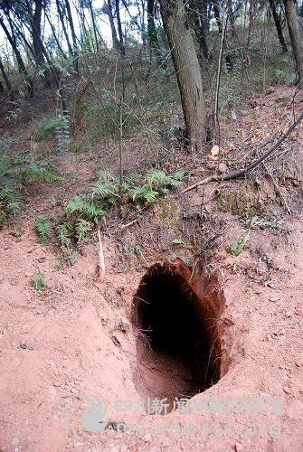 四川绵阳市有多少人口_四川绵阳市地图(3)