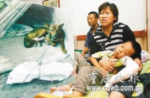 过敏症状_猫腹水症状_猫耳螨症状图片_猫螨虫症状_猫 ...