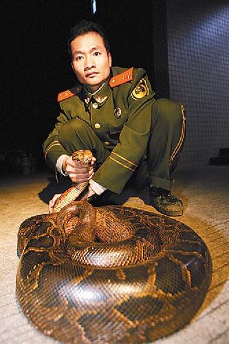 老伯惊遇三米长大蟒蛇缠身 哨兵机智施救(图)_资讯