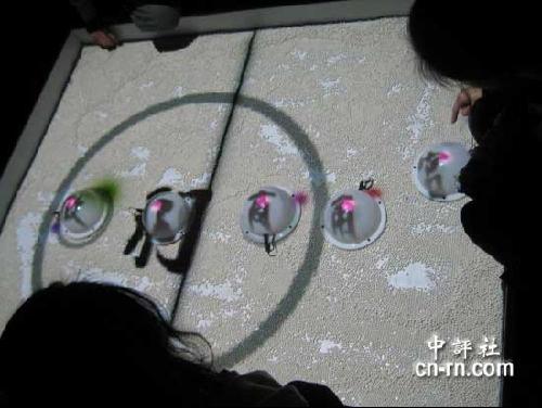 人口羽什么字_常住人口登记卡是什么