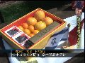 中以建交20周年 上海举办以色列水果节