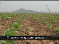 黑龙江粮食总产量中国第一