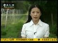 紫金矿坝垮塌毁良田 村民搬迁另置新家