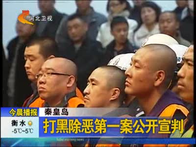 秦皇岛09年打黑除恶第一案公开宣判