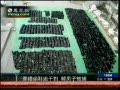 韩国男子葬礼偷鞋过千双被捕