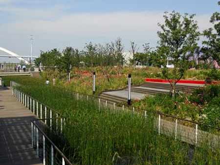 2010-06-01 解码陈文茜 - 探秘黄浦江上的生态