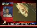 陈浩然：有三种法律途径制裁紫金矿业