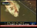 紫金矿业污染系人为 相关责任人已被刑拘