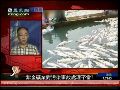 陈浩然：紫金矿业挣黑心钱 对污染遮遮掩掩