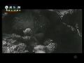 大量15军战士与敌人同归于尽 英雄永载史册