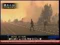 以色列山火已致42人死亡 官方承认无力灭火