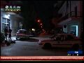 希腊警方查获地方恐怖组织窝点搜出大批武器