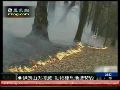 伊朗山林大火基本扑灭 动物栖息地被破坏