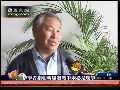 学者称朝韩若爆发军事冲突各大国不会介入