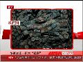 媒体速览：陕西一工地发现大量古钱币