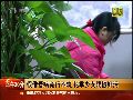 老乡借看病之名七次奸污花季少女