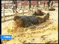 二炮特种兵首度曝光 称号“利刃”重越野战力