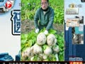 河南农民免费送萝卜 遭万人哄抢