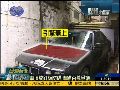 车主为防野猫窜上爱车 放置钉板遭疑虐猫
