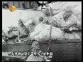 虹桥事件发生 蒋介石决心和日本大战一场