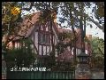谢晋元一直未归队 淞沪会战后陷入一场阴谋