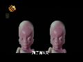 同卵双胞胎成因探究：一个受精卵分裂而成