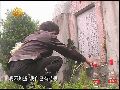 女白领难忘中越战争 千里外开茶馆联络战友
