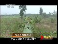解放军坦克超远距射击 调整仰角一击命中