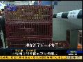 香港菜价较平时贵约3成 多数市民称不介意