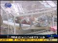 港府或取消内地孕妇到港产子配额