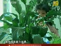 昆明：狠心奶奶为男友还债 2万元卖掉亲孙女
