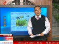 北京头茬西湖龙井价格5年涨8成达1斤万元