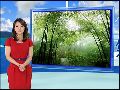 凤凰气象站：尝鲜春笋