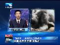 【经济牌】专家：中国设30亿南海基金有何深意