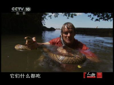 2012-07-30人物 奥斯汀-史蒂文斯 探索巨型矛头蝮蛇()