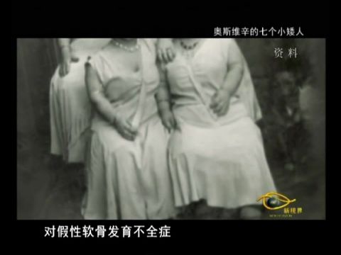 2012-12-17科学幻想 奥斯维辛的七个小矮人