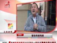 曾志伟涉掌掴黄浩被拘捕 已获准保释