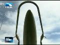 二炮展示齐射10枚导弹战力破日本反导自信