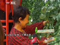 创意农产品 周末来尝鲜