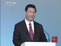 习近平同普京共同出席俄罗斯中国旅游年开幕式