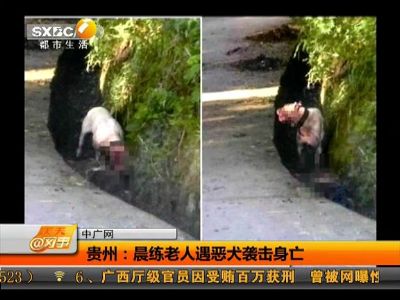 贵州晨练老人被两只恶犬咬死 血肉模糊