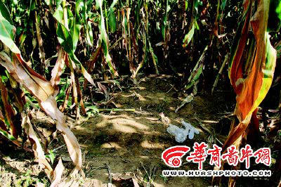 10岁女孩遭强奸掏肠案被告翻供 不承认强暴