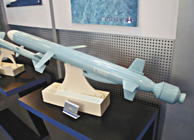 被称为"中国战斧"的c-602导弹