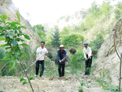 张川人口_馆陶张川(2)