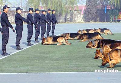 资料图:北京安保演练现场中的警犬演练