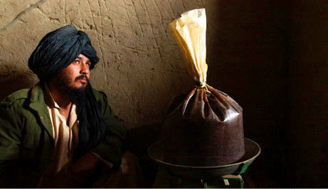 阿富汗地区冲突无休止 罂粟产量占全球93%