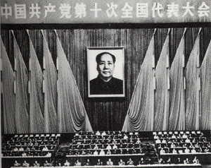 中国共产党第十次全国代表大会简介