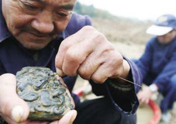 宝庆寺华塔用英语_华庭龟山福清寺定光舍利塔_国清寺舍利塔